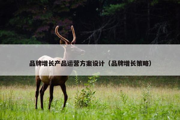 品牌增长产品运营方案设计（品牌增长策略）