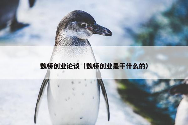 魏桥创业论谈（魏桥创业是干什么的）