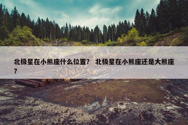 北极星在小熊座什么位置？ 北极星在小熊座还是大熊座？