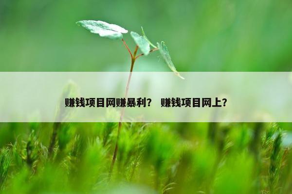 赚钱项目网赚暴利？ 赚钱项目网上？