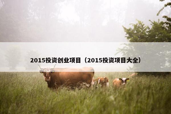 2015投资创业项目（2015投资项目大全）