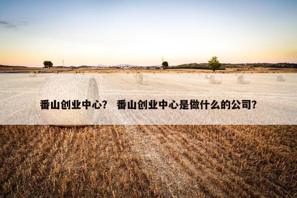 番山创业中心？ 番山创业中心是做什么的公司？