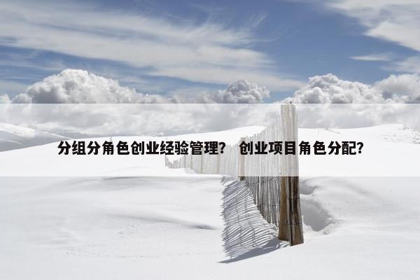 分组分角色创业经验管理？ 创业项目角色分配？