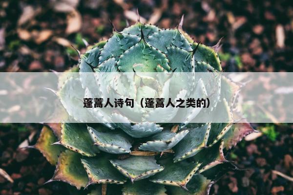 蓬蒿人诗句（蓬蒿人之类的）