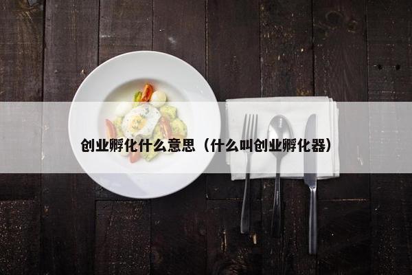 创业孵化什么意思（什么叫创业孵化器）