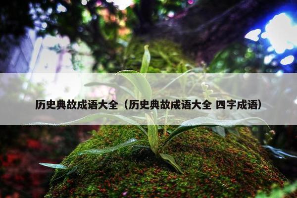 历史典故成语大全（历史典故成语大全 四字成语）