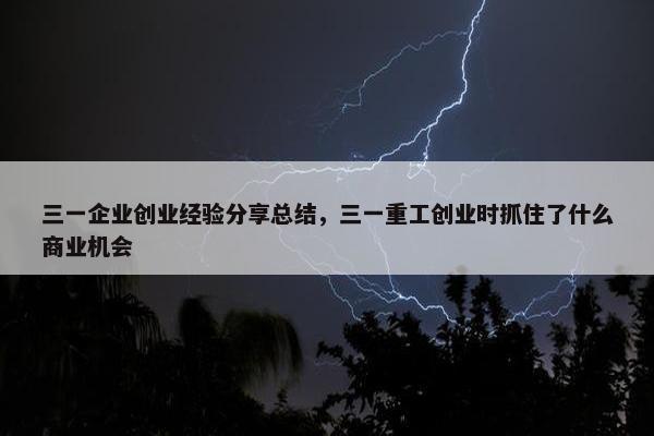 三一企业创业经验分享总结，三一重工创业时抓住了什么商业机会