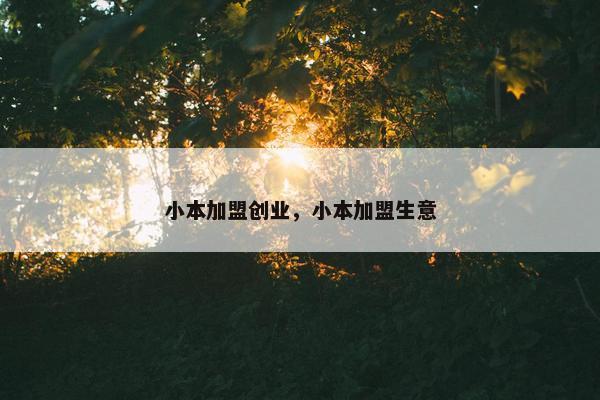 小本加盟创业，小本加盟生意