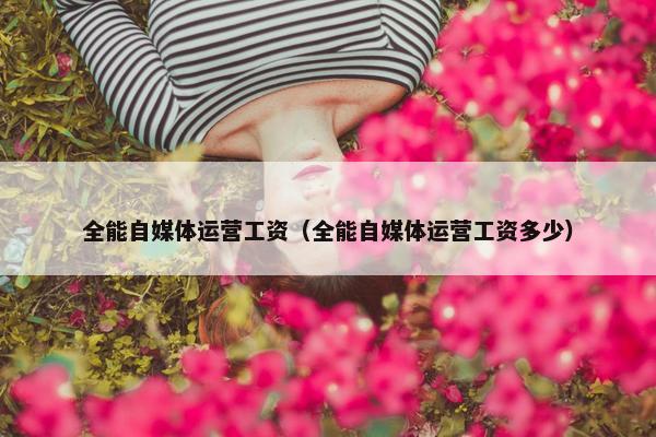 全能自媒体运营工资（全能自媒体运营工资多少）