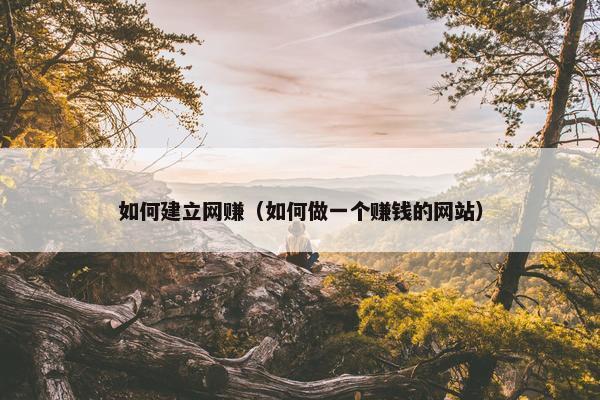 如何建立网赚（如何做一个赚钱的网站）