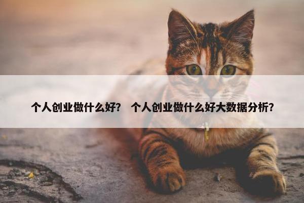 个人创业做什么好？ 个人创业做什么好大数据分析？