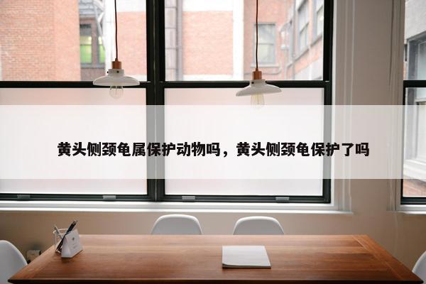 黄头侧颈龟属保护动物吗，黄头侧颈龟保护了吗