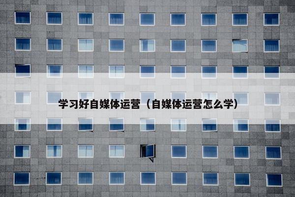 学习好自媒体运营（自媒体运营怎么学）