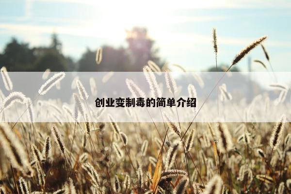 创业变制毒的简单介绍