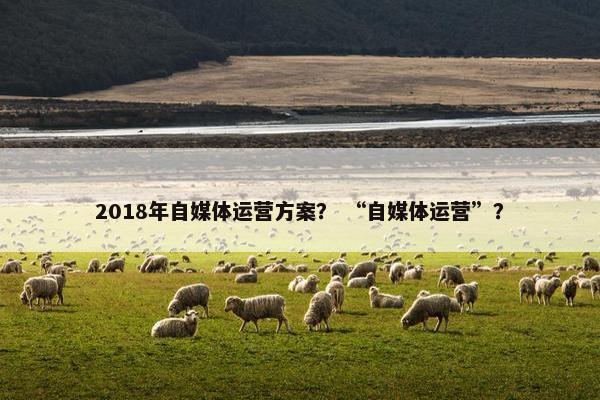 2018年自媒体运营方案？ “自媒体运营”？