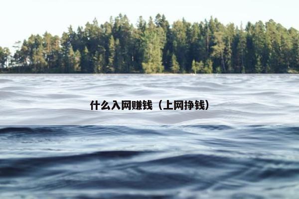 什么入网赚钱（上网挣钱）