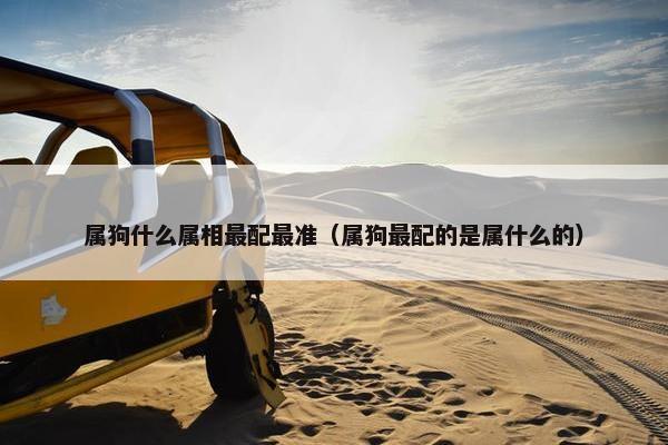 属狗什么属相最配最准（属狗最配的是属什么的）