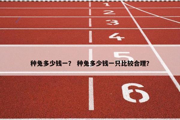种兔多少钱一？ 种兔多少钱一只比较合理？