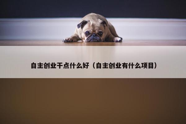 自主创业干点什么好（自主创业有什么项目）