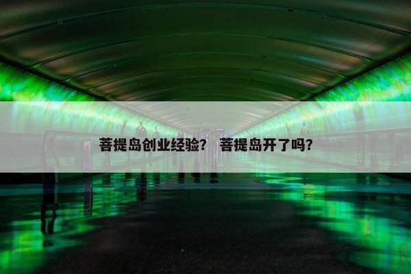 菩提岛创业经验？ 菩提岛开了吗？