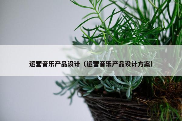 运营音乐产品设计（运营音乐产品设计方案）