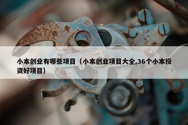 小本创业有哪些项目（小本创业项目大全,36个小本投资好项目）