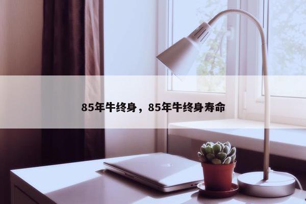 85年牛终身，85年牛终身寿命