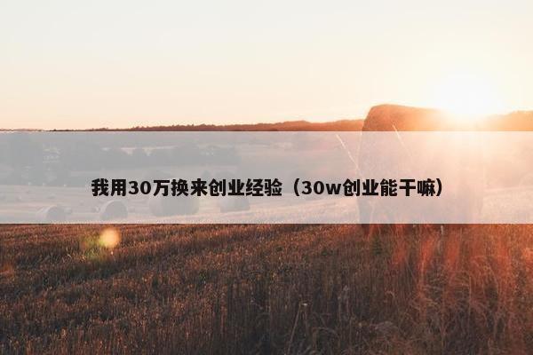 我用30万换来创业经验（30w创业能干嘛）