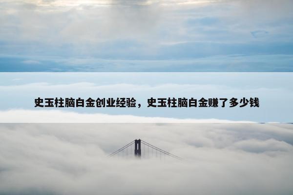 史玉柱脑白金创业经验，史玉柱脑白金赚了多少钱