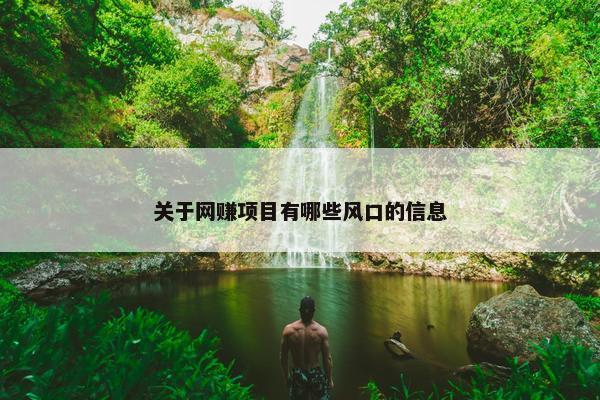 关于网赚项目有哪些风口的信息