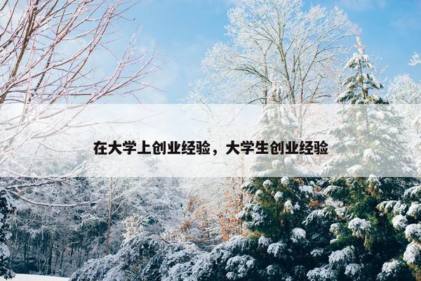 在大学上创业经验，大学生创业经验