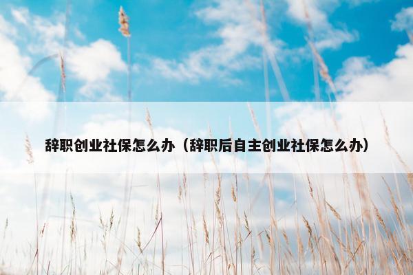 辞职创业社保怎么办（辞职后自主创业社保怎么办）