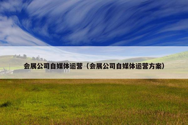 会展公司自媒体运营（会展公司自媒体运营方案）
