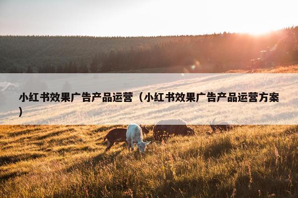 小红书效果广告产品运营（小红书效果广告产品运营方案）