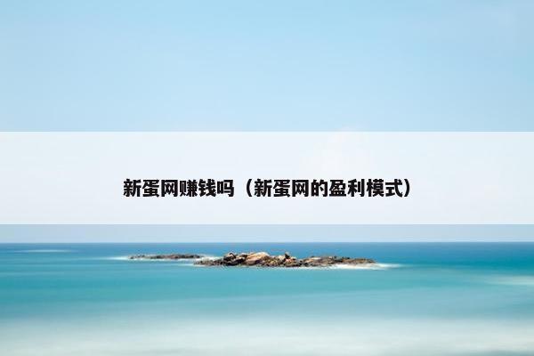 新蛋网赚钱吗（新蛋网的盈利模式）