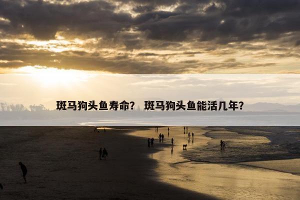 斑马狗头鱼寿命？ 斑马狗头鱼能活几年？