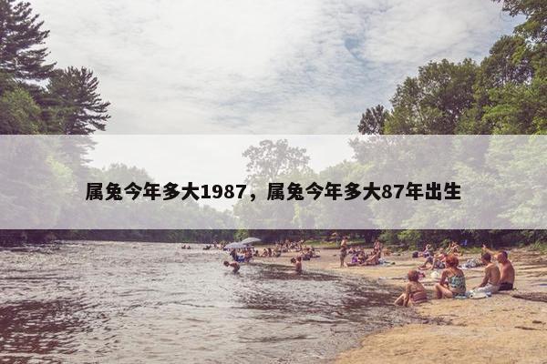 属兔今年多大1987，属兔今年多大87年出生
