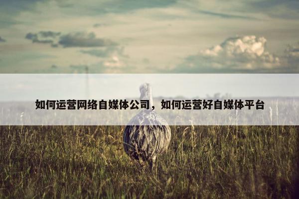 如何运营网络自媒体公司，如何运营好自媒体平台
