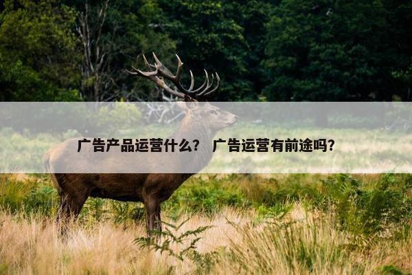 广告产品运营什么？ 广告运营有前途吗？