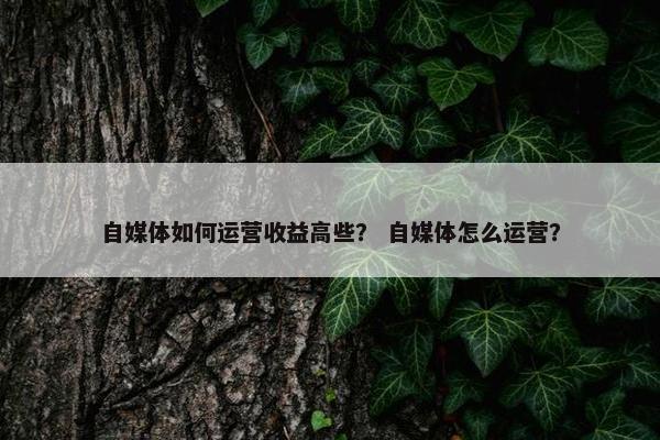 自媒体如何运营收益高些？ 自媒体怎么运营？