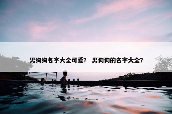 男狗狗名字大全可爱？ 男狗狗的名字大全？