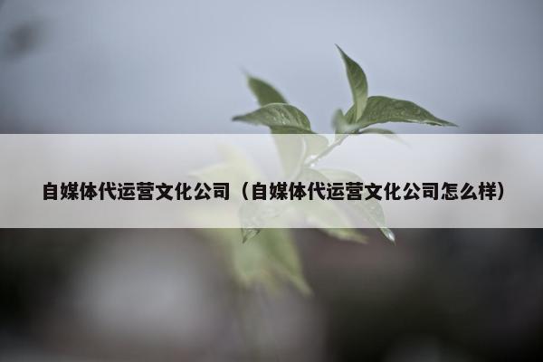 自媒体代运营文化公司（自媒体代运营文化公司怎么样）