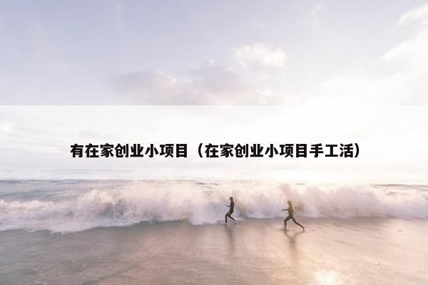 有在家创业小项目（在家创业小项目手工活）