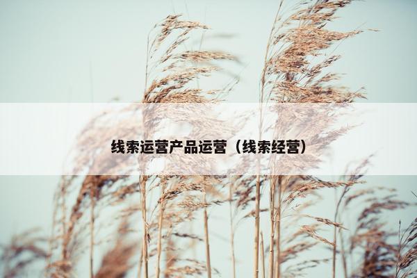 线索运营产品运营（线索经营）