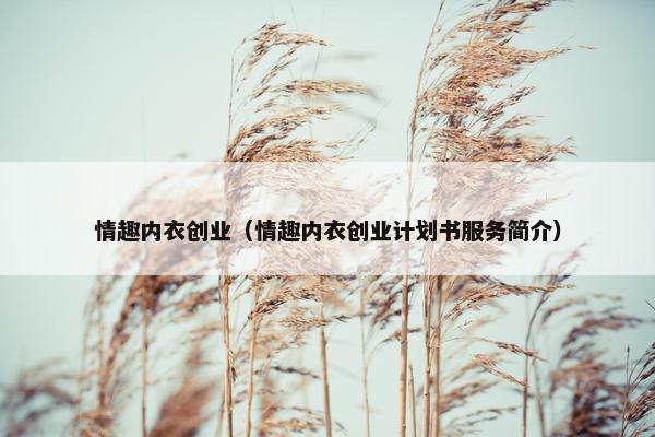 情趣内衣创业（情趣内衣创业计划书服务简介）