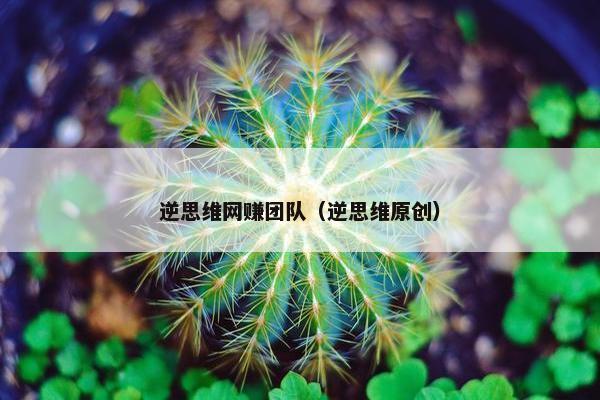 逆思维网赚团队（逆思维原创）