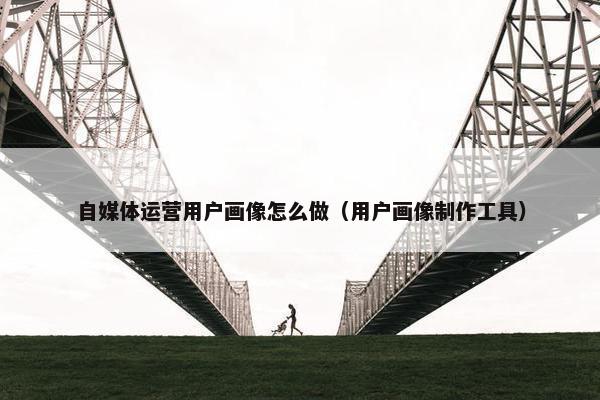 自媒体运营用户画像怎么做（用户画像制作工具）
