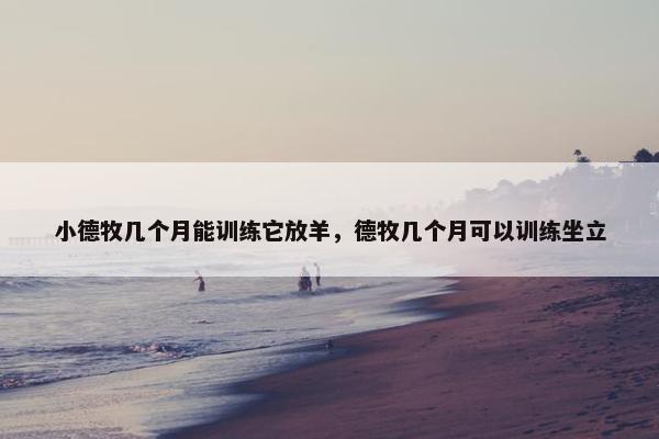 小德牧几个月能训练它放羊，德牧几个月可以训练坐立