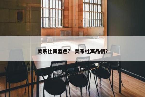 美系杜宾蓝色？ 美系杜宾品相？