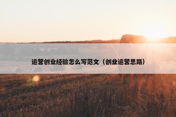 运营创业经验怎么写范文（创业运营思路）